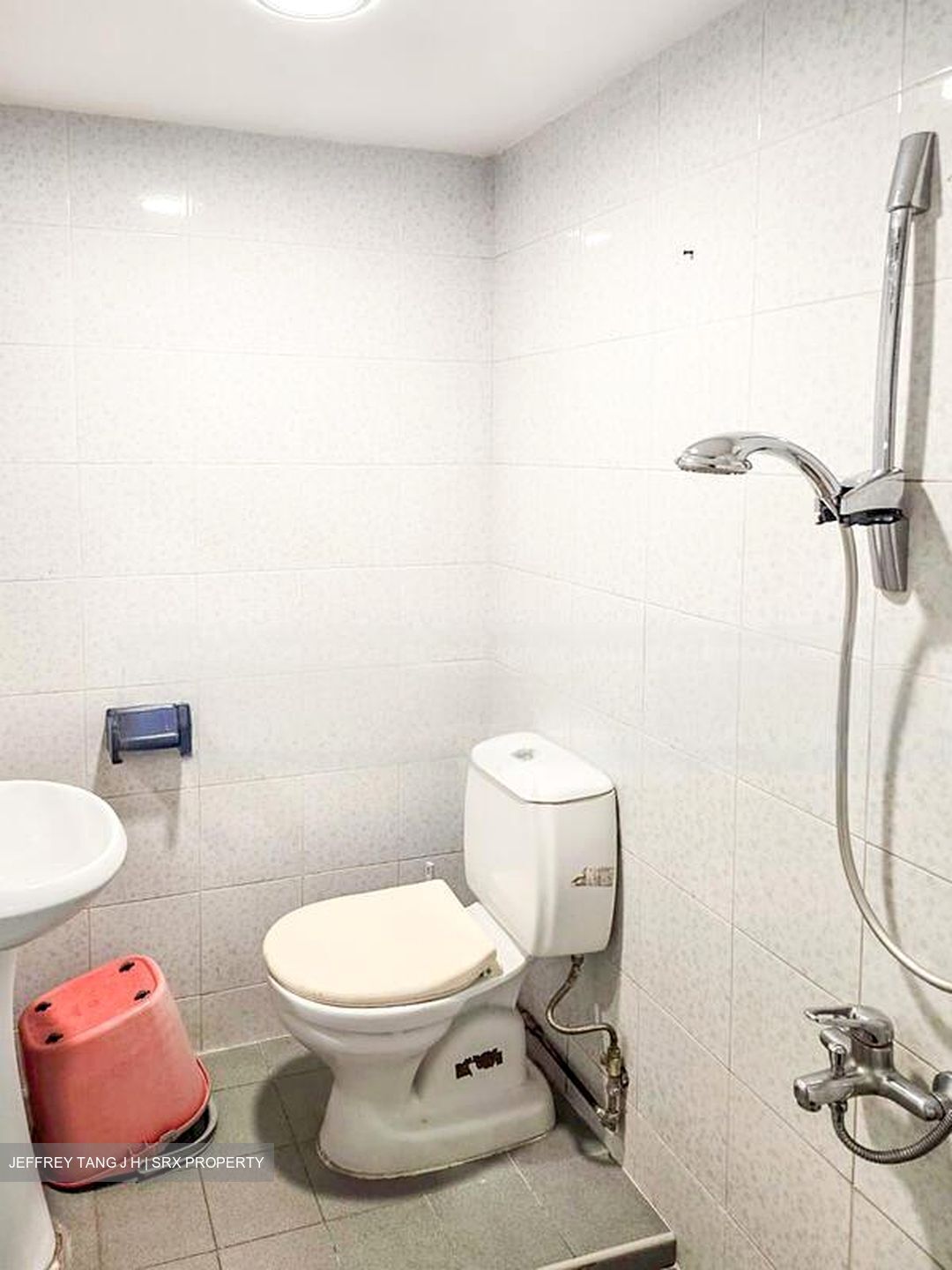 Pandan Valley (D21), Condominium #458525381